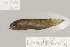  ( - UG0208)  @12 [ ] CreativeCommons - Attribution (2009) Unspecified Centre for Biodiversity Genomics