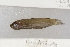  ( - UG0209)  @12 [ ] CreativeCommons - Attribution (2009) Unspecified Centre for Biodiversity Genomics