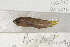  ( - UG0210)  @12 [ ] CreativeCommons - Attribution (2009) Unspecified Centre for Biodiversity Genomics