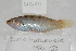  ( - UG0211)  @13 [ ] CreativeCommons - Attribution (2009) Unspecified Centre for Biodiversity Genomics