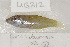  ( - UG0212)  @13 [ ] CreativeCommons - Attribution (2009) Unspecified Centre for Biodiversity Genomics