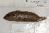  ( - UG0213)  @12 [ ] CreativeCommons - Attribution (2009) Unspecified Centre for Biodiversity Genomics