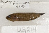  ( - UG0214)  @12 [ ] CreativeCommons - Attribution (2009) Unspecified Centre for Biodiversity Genomics