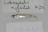  ( - UG0241)  @11 [ ] CreativeCommons - Attribution (2009) Unspecified Centre for Biodiversity Genomics