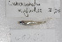  ( - UG0245)  @12 [ ] CreativeCommons - Attribution (2009) Unspecified Centre for Biodiversity Genomics