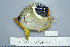  ( - UG0257)  @13 [ ] CreativeCommons - Attribution (2009) Unspecified Centre for Biodiversity Genomics