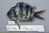  ( - UG0264)  @11 [ ] CreativeCommons - Attribution (2009) Unspecified Centre for Biodiversity Genomics