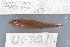  ( - UG0301)  @12 [ ] CreativeCommons - Attribution (2009) Unspecified Centre for Biodiversity Genomics