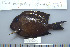 ( - UG0304)  @13 [ ] CreativeCommons - Attribution (2009) Unspecified Centre for Biodiversity Genomics