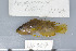  ( - UG0307)  @13 [ ] CreativeCommons - Attribution (2009) Unspecified Centre for Biodiversity Genomics