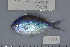  ( - UG0319)  @13 [ ] CreativeCommons - Attribution (2009) Unspecified Centre for Biodiversity Genomics