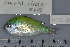  ( - UG0320)  @13 [ ] CreativeCommons - Attribution (2009) Unspecified Centre for Biodiversity Genomics