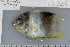  ( - UG0324)  @12 [ ] CreativeCommons - Attribution (2009) Unspecified Centre for Biodiversity Genomics