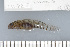  ( - UG0328)  @12 [ ] CreativeCommons - Attribution (2009) Unspecified Centre for Biodiversity Genomics