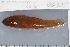  ( - UG0329)  @13 [ ] CreativeCommons - Attribution (2009) Unspecified Centre for Biodiversity Genomics