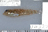  ( - UG0330)  @11 [ ] CreativeCommons - Attribution (2009) Unspecified Centre for Biodiversity Genomics