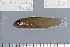  ( - UG0331)  @12 [ ] CreativeCommons - Attribution (2009) Unspecified Centre for Biodiversity Genomics
