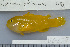  ( - UG0357)  @13 [ ] CreativeCommons - Attribution (2009) Unspecified Centre for Biodiversity Genomics