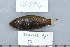  ( - UG0374)  @13 [ ] CreativeCommons - Attribution (2009) Unspecified Centre for Biodiversity Genomics
