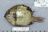  ( - UG0375)  @13 [ ] CreativeCommons - Attribution (2009) Unspecified Centre for Biodiversity Genomics