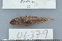  ( - UG0379)  @13 [ ] CreativeCommons - Attribution (2009) Unspecified Centre for Biodiversity Genomics