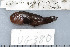  ( - UG0380)  @13 [ ] CreativeCommons - Attribution (2009) Unspecified Centre for Biodiversity Genomics