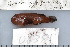  ( - UG0381)  @13 [ ] CreativeCommons - Attribution (2009) Unspecified Centre for Biodiversity Genomics