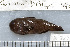  ( - UG0382)  @12 [ ] CreativeCommons - Attribution (2009) Unspecified Centre for Biodiversity Genomics