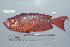  ( - UG0458)  @14 [ ] CreativeCommons - Attribution (2009) Unspecified Centre for Biodiversity Genomics