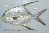  ( - UG0465)  @11 [ ] CreativeCommons - Attribution (2009) Unspecified Centre for Biodiversity Genomics