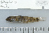  ( - UG0495)  @13 [ ] CreativeCommons - Attribution (2009) Unspecified Centre for Biodiversity Genomics