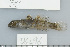  ( - UG0496)  @14 [ ] CreativeCommons - Attribution (2009) Unspecified Centre for Biodiversity Genomics