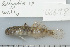  ( - UG0498)  @14 [ ] CreativeCommons - Attribution (2009) Unspecified Centre for Biodiversity Genomics