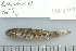  ( - UG0499)  @13 [ ] CreativeCommons - Attribution (2009) Unspecified Centre for Biodiversity Genomics
