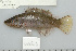  ( - UG0524)  @13 [ ] CreativeCommons - Attribution (2009) Unspecified Centre for Biodiversity Genomics