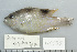  ( - UG0533)  @14 [ ] CreativeCommons - Attribution (2009) Unspecified Centre for Biodiversity Genomics