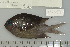  ( - UG0593)  @11 [ ] CreativeCommons - Attribution (2009) Unspecified Centre for Biodiversity Genomics