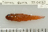  ( - UG0596)  @12 [ ] CreativeCommons - Attribution (2009) Unspecified Centre for Biodiversity Genomics