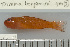  ( - UG0605)  @11 [ ] CreativeCommons - Attribution (2009) Unspecified Centre for Biodiversity Genomics