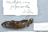  ( - UG0611)  @12 [ ] CreativeCommons - Attribution (2009) Unspecified Centre for Biodiversity Genomics