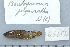  ( - UG0612)  @12 [ ] CreativeCommons - Attribution (2009) Unspecified Centre for Biodiversity Genomics