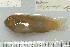  ( - UG0621)  @13 [ ] CreativeCommons - Attribution (2009) Unspecified Centre for Biodiversity Genomics