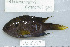  ( - UG0670)  @12 [ ] CreativeCommons - Attribution (2009) Unspecified Centre for Biodiversity Genomics