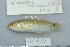  ( - UG0687)  @13 [ ] CreativeCommons - Attribution (2009) Unspecified Centre for Biodiversity Genomics
