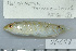  ( - UG0688)  @13 [ ] CreativeCommons - Attribution (2009) Unspecified Centre for Biodiversity Genomics