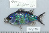  ( - UG0697)  @14 [ ] CreativeCommons - Attribution (2009) Unspecified Centre for Biodiversity Genomics