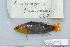  ( - UG0699)  @12 [ ] CreativeCommons - Attribution (2009) Unspecified Centre for Biodiversity Genomics