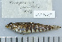  ( - UG0705)  @14 [ ] CreativeCommons - Attribution (2009) Unspecified Centre for Biodiversity Genomics
