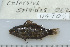  ( - UG0706)  @12 [ ] CreativeCommons - Attribution (2009) Unspecified Centre for Biodiversity Genomics