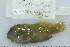  ( - UG0714)  @12 [ ] CreativeCommons - Attribution (2009) Unspecified Centre for Biodiversity Genomics